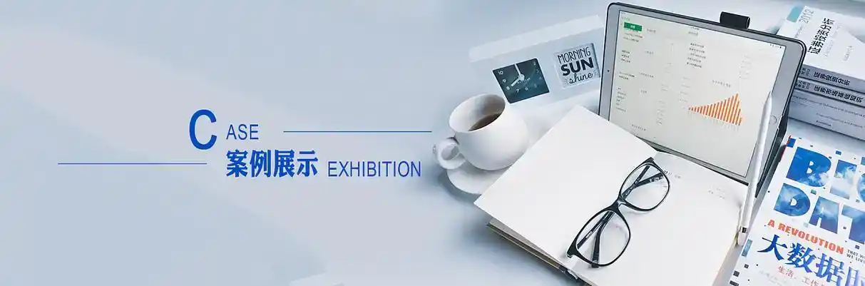 大厂回族自治县软件开发